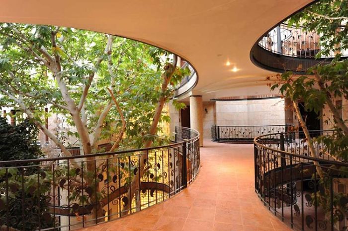 An Apartment In Tehran Which Was Built Without Cutting Even A Single Tree