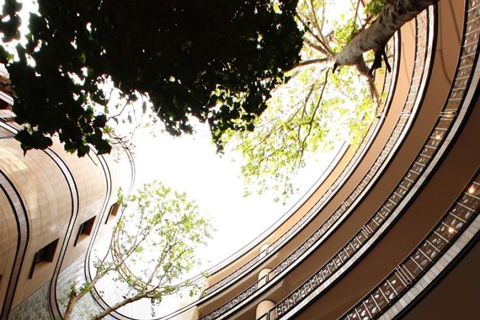 An Apartment In Tehran Which Was Built Without Cutting Even A Single Tree