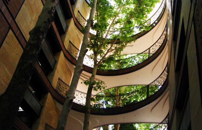 An Apartment In Tehran Which Was Built Without Cutting Even A Single Tree