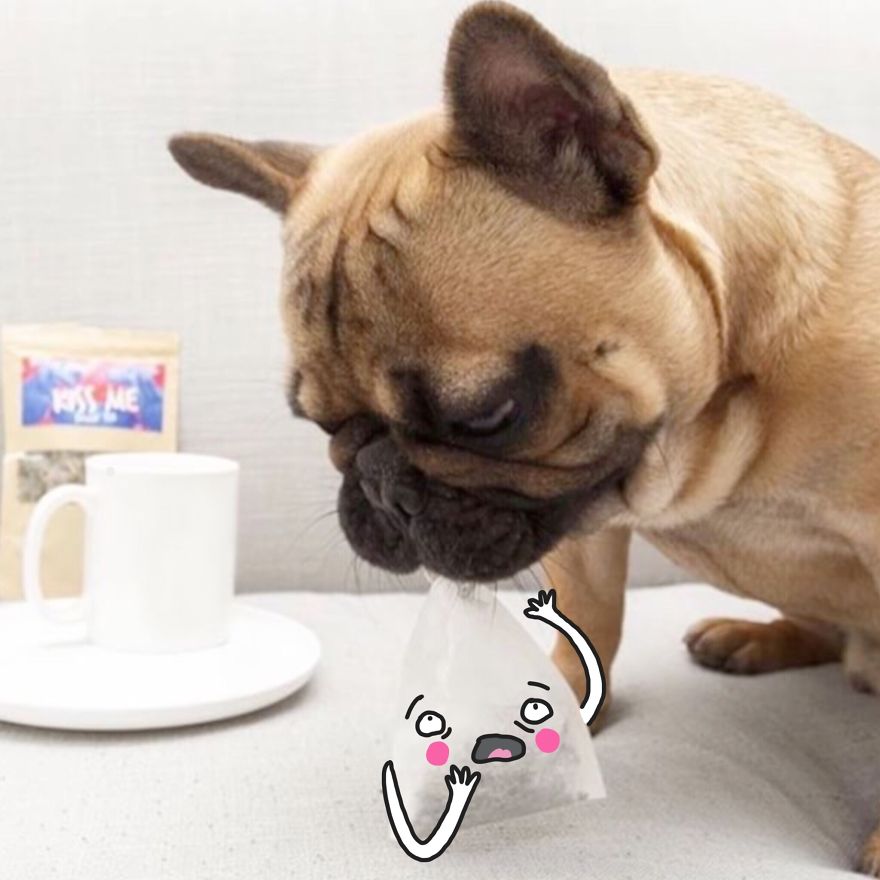 I See Faces On Everyday Life Objects And I Illustrate Them