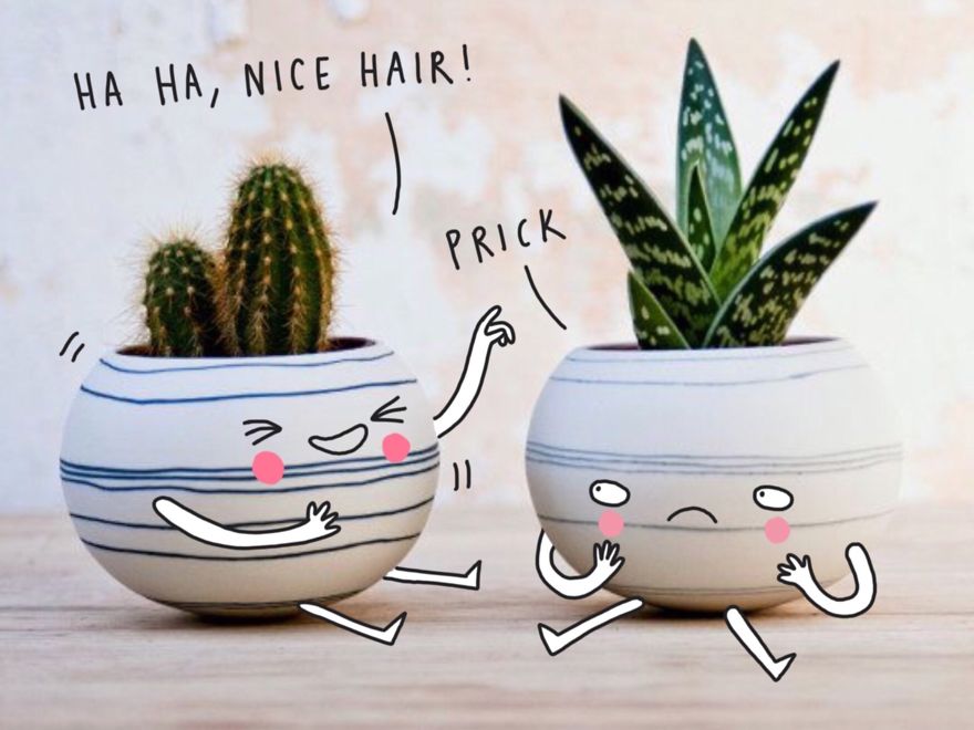 I See Faces On Everyday Life Objects And I Illustrate Them