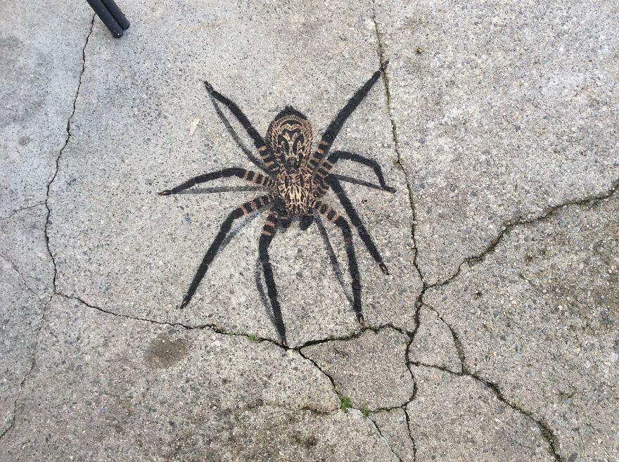 Even The Pavement Wasn't Safe