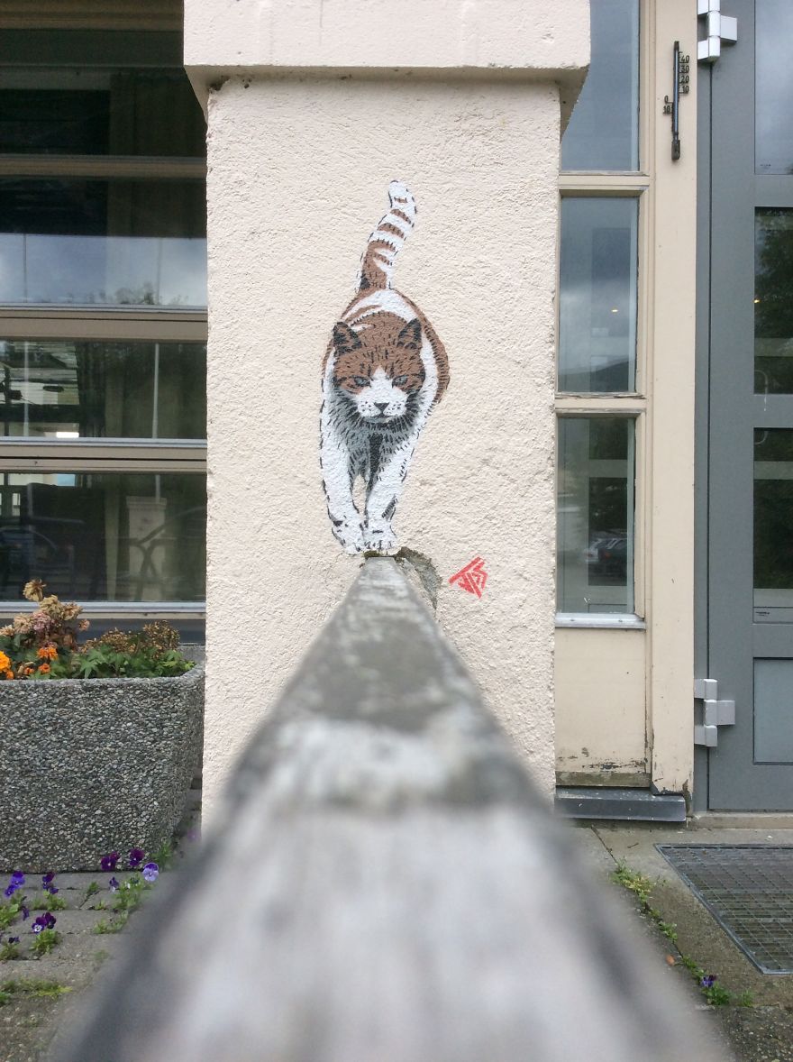 The Cat I Painted For The Hyundai Ad Also Put At Hotel