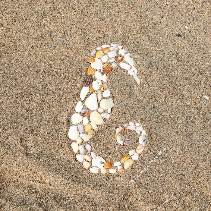 I Create Temporary Beach Mosaics From Things I Find There (Part 2) I Create Temporary Beach Mosaics From Things I Find There (Part 2)