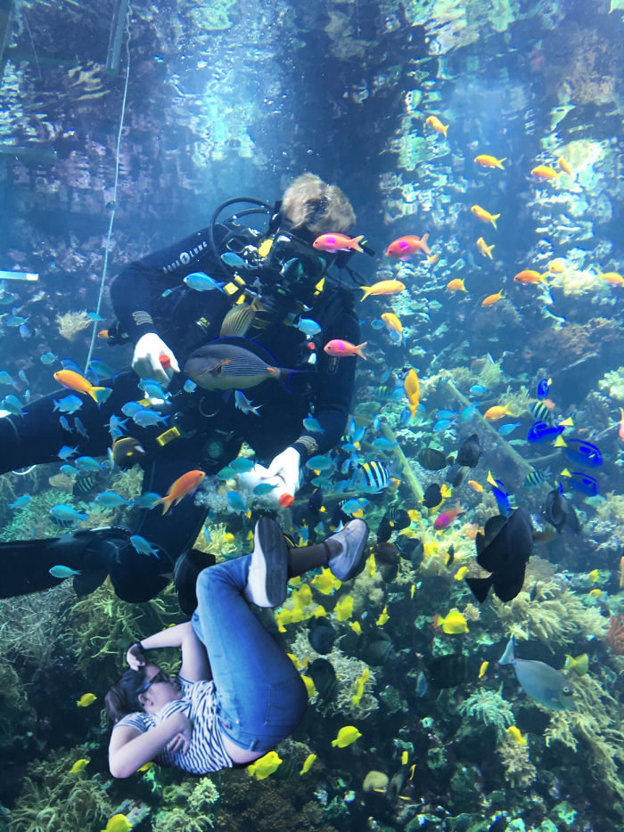 Sleeping With The Fishes...