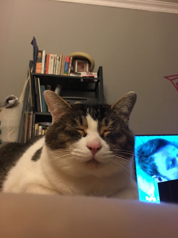 Floki Was Homeless But Now He's Super Spoiled