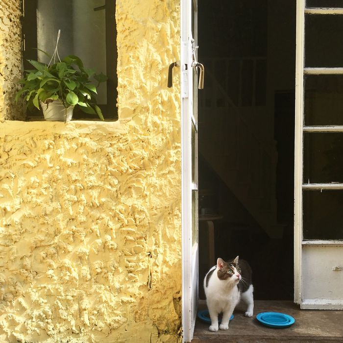 Floki Was Homeless But Now He's Super Spoiled