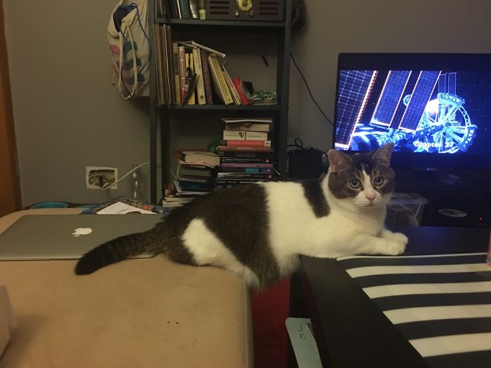 Floki Was Homeless But Now He's Super Spoiled