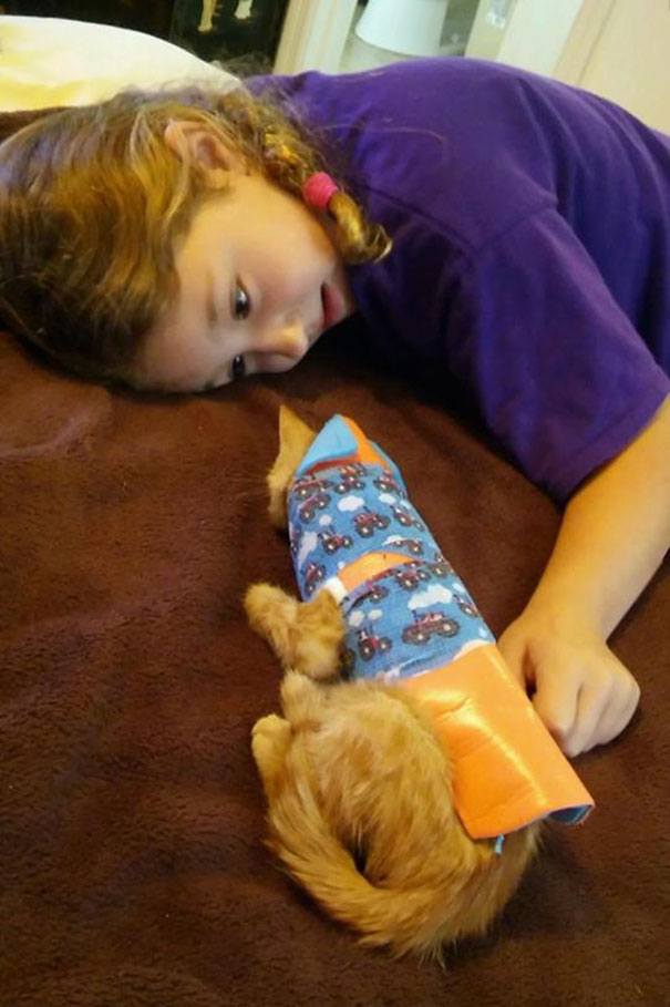 injured-kitten-hit-car-body-cast-purrito-davey-14 injured-kitten-hit-car-body-cast-purrito-davey-14