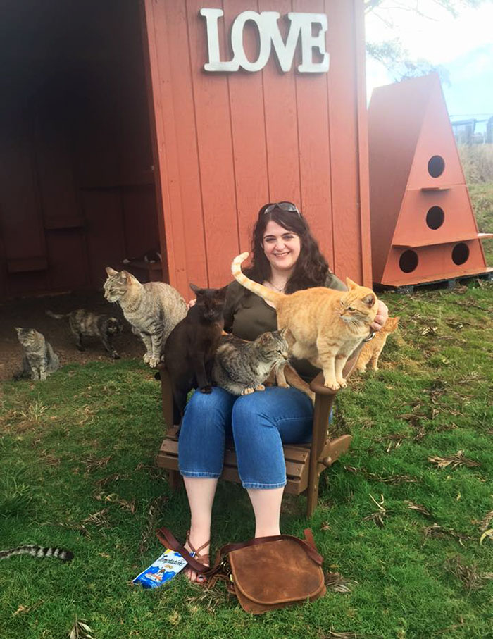 lanai-cat-sanctuary-hawaii-10