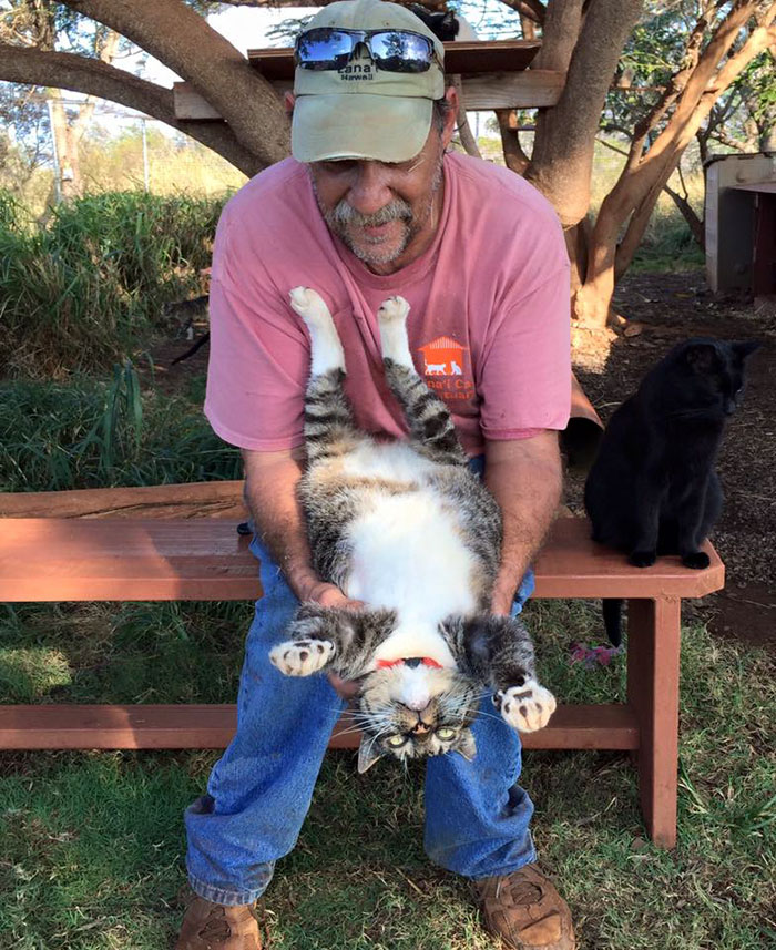 lanai-cat-sanctuary-hawaii-20