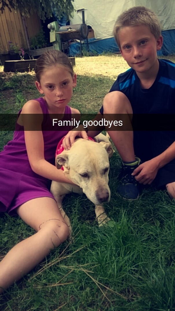 last-day-dying-dog-snapchat-hannah-a9 last-day-dying-dog-snapchat-hannah-a9