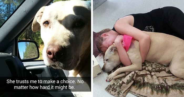 This Woman’s Snapchats Of Last Day With Dying Dog Will Make You Cry