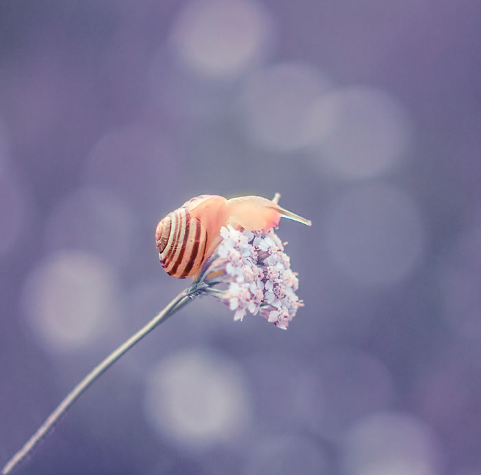 I Photograph The Beautiful Nature Of Poland