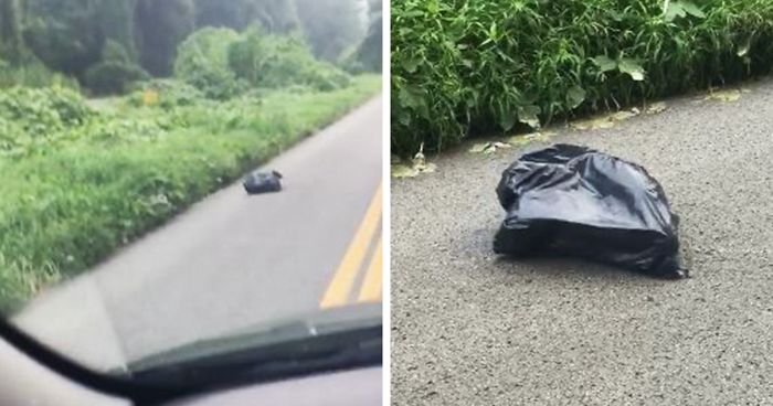 Woman Sees A Moving Garbage Bag On The Road, Stops Her Car To Save It
