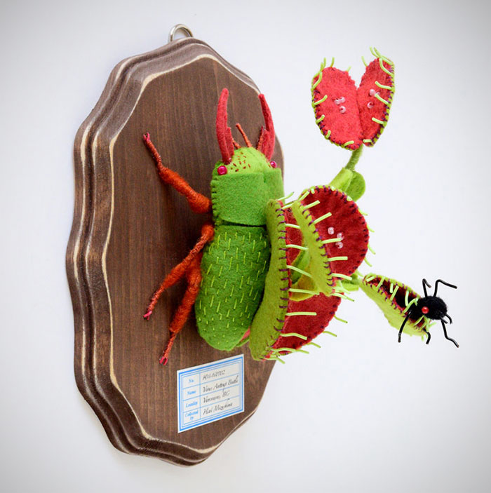 My Flora Insecta Series For Flora At Land Exhibition