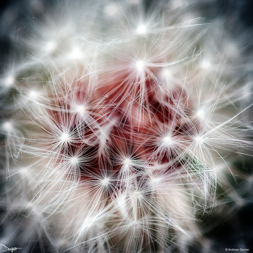 I Spent A Lot Of Time Processing My Photos... For Some Reason