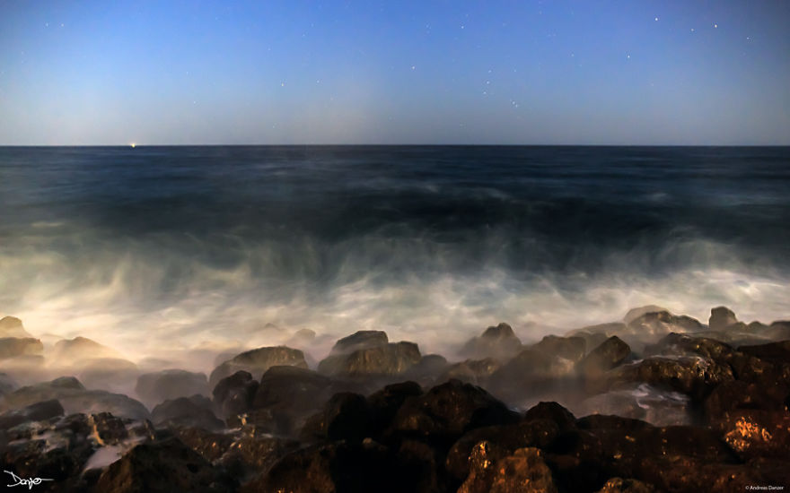 I Spent A Lot Of Time Processing My Photos... For Some Reason I Spent A Lot Of Time Processing My Photos... For Some Reason