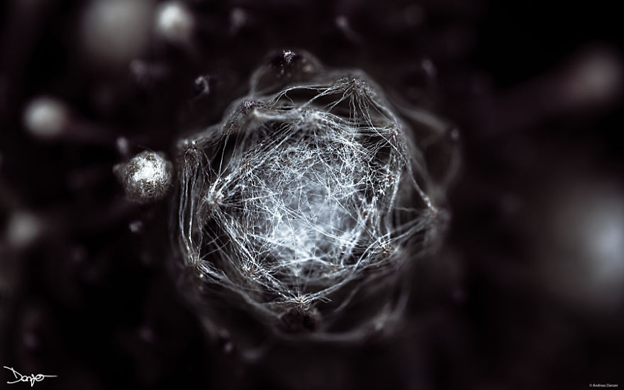 I Spent A Lot Of Time Processing My Photos... For Some Reason