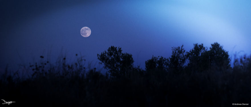 I Spent A Lot Of Time Processing My Photos... For Some Reason I Spent A Lot Of Time Processing My Photos... For Some Reason