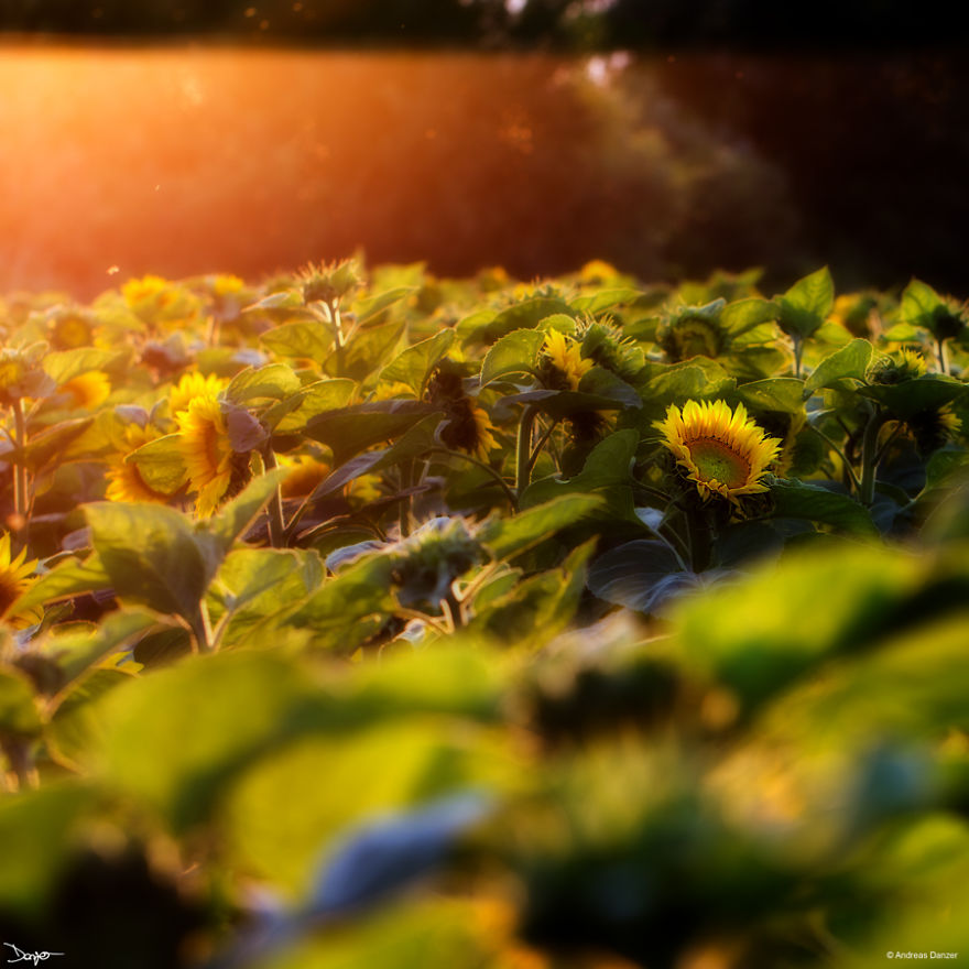 I Spent A Lot Of Time Processing My Photos... For Some Reason