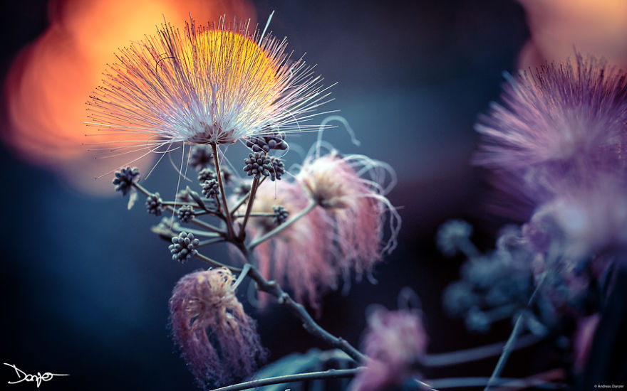 I Spent A Lot Of Time Processing My Photos... For Some Reason