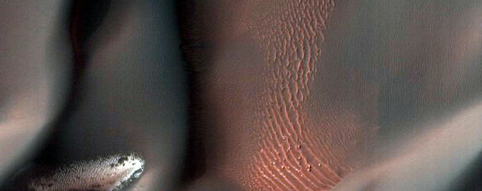 Proctor Crater Dune Gullies