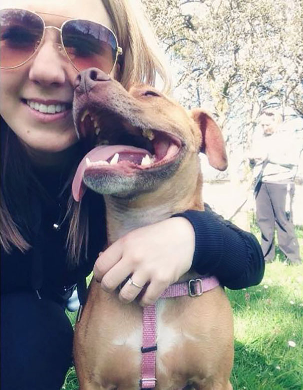 old-cat-attacks-7-pit-bulls-baby-canada-1