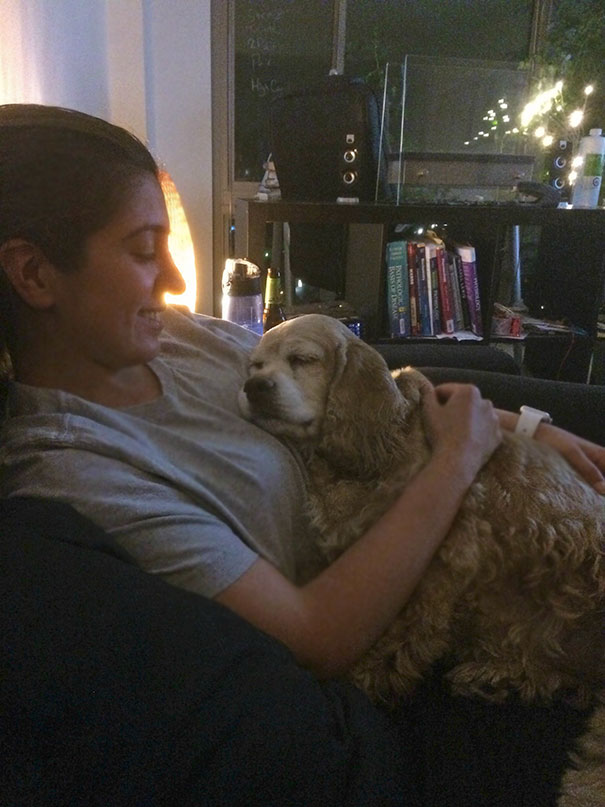 We Adopted An Old Dog, Tanner, No Regrets So Far