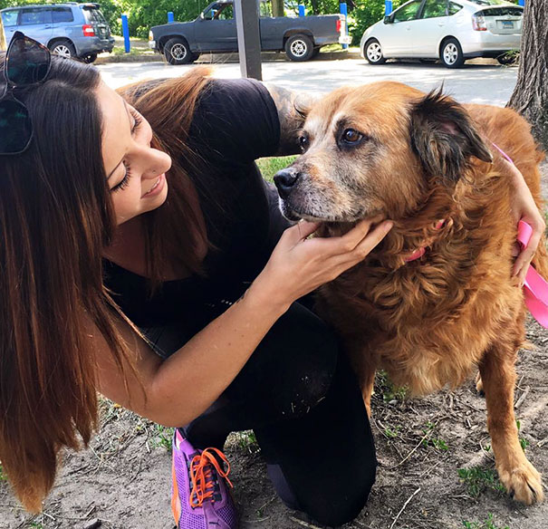 At 14 Years Old Bear Stayed At Her 76-Year-Old Owner’s Side For Days After The Man Passed Away. No One Could Take Her In So She Was Turned To The Shelter And Happily Adopted After Several Days By Her New Mommy