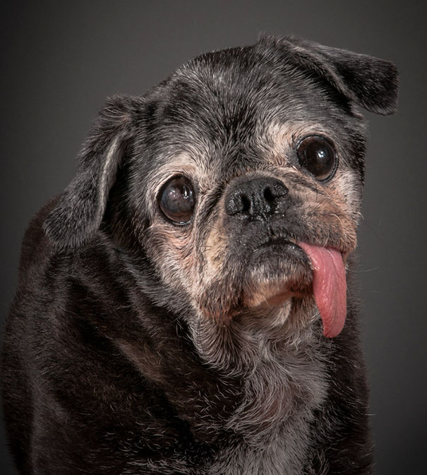 Benjamin Spent 1,5 Years In A Shelter But Finally Found Home At The Age Of 14