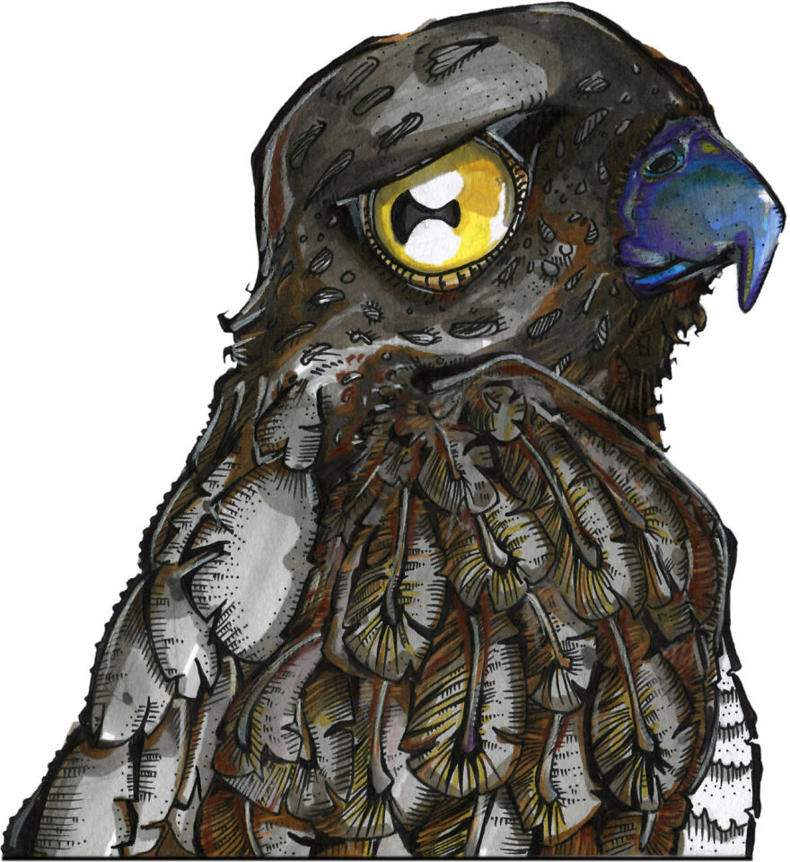 I Started Drawing During My Son's Naps I Started Drawing During My Son's Naps