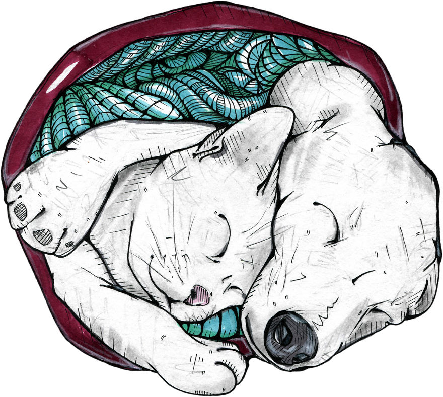 I Started Drawing During My Son's Naps I Started Drawing During My Son's Naps