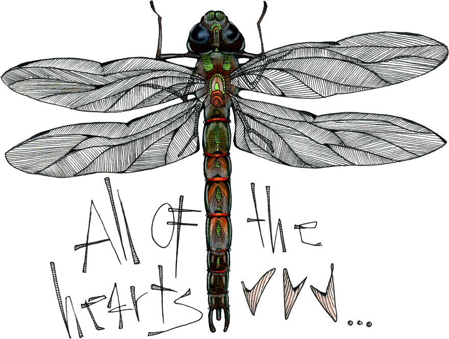 I Started Drawing During My Son's Naps I Started Drawing During My Son's Naps