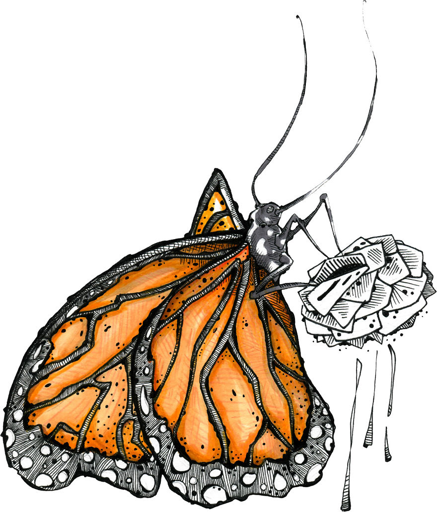 I Started Drawing During My Son's Naps I Started Drawing During My Son's Naps