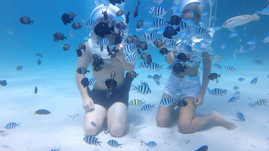 Beautiful Nature Of Philippines