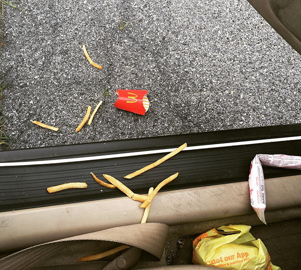 In Case Anyone Is Wondering How My Day Is Going