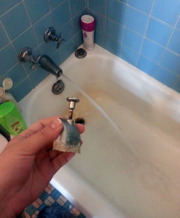 Well, Screw You, Morning