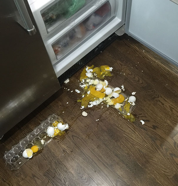 I Opened The Fridge Door And All Of My Eggs Fell Out. Good Morning, Monday