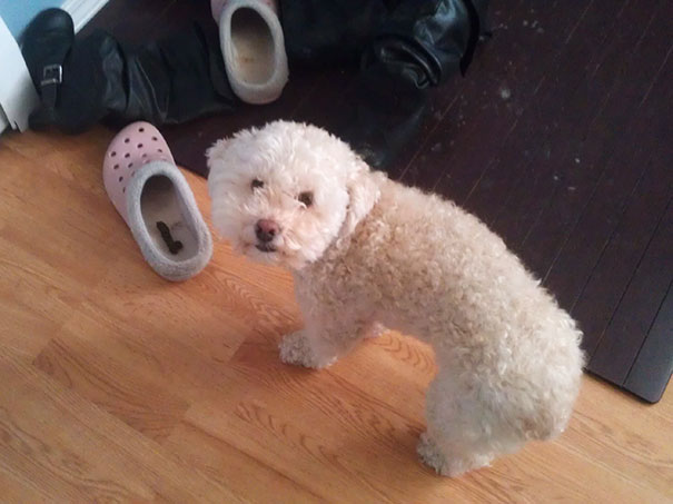 Well, Sh*t. Literally, Sh*t