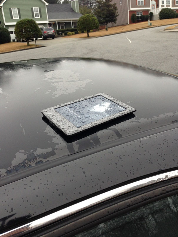 I Knew I Forgot Something Outside Last Night. FML