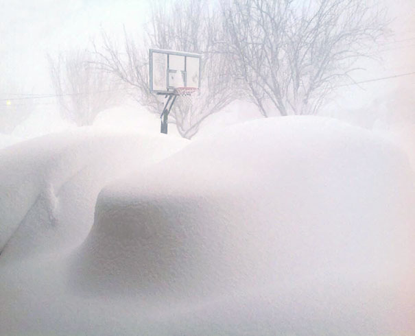 What's This? I'm Going Back To Bed