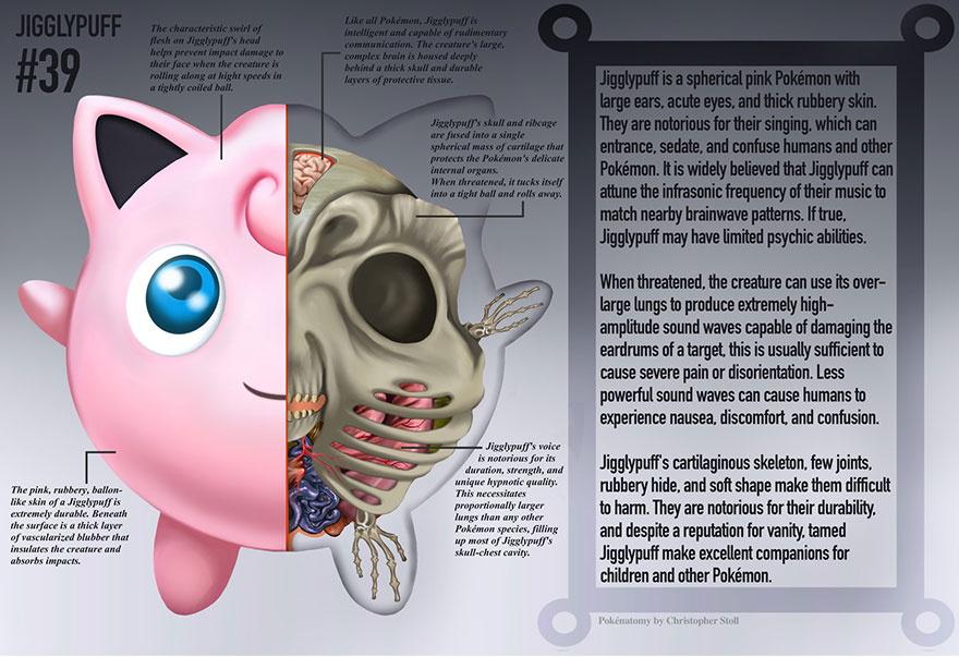 pokemon-anatomy-pokenatomy-christopher-stoll-3