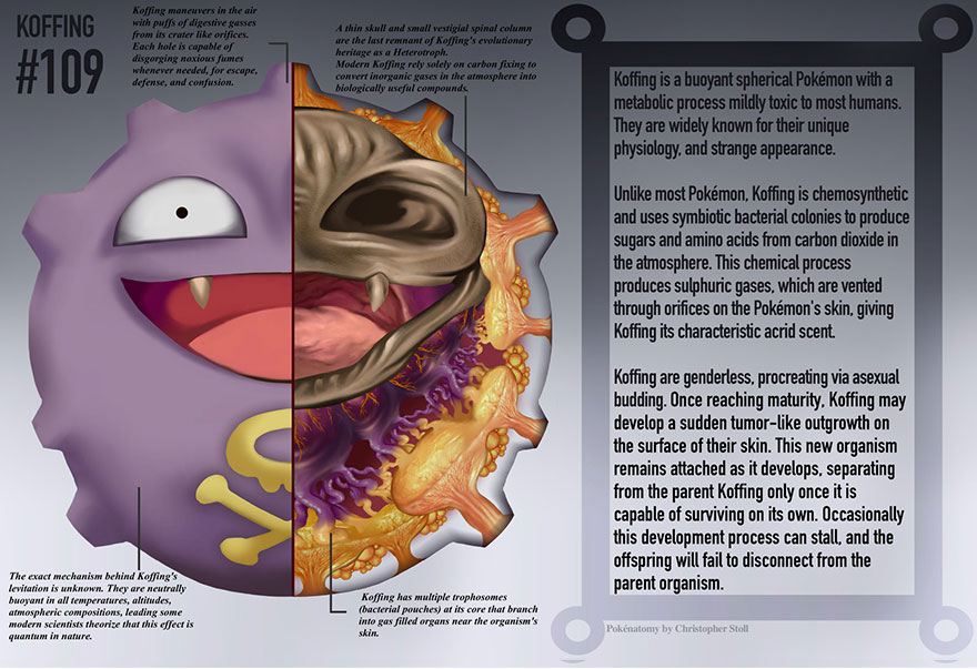 pokemon-anatomy-pokenatomy-christopher-stoll-4 pokemon-anatomy-pokenatomy-christopher-stoll-4