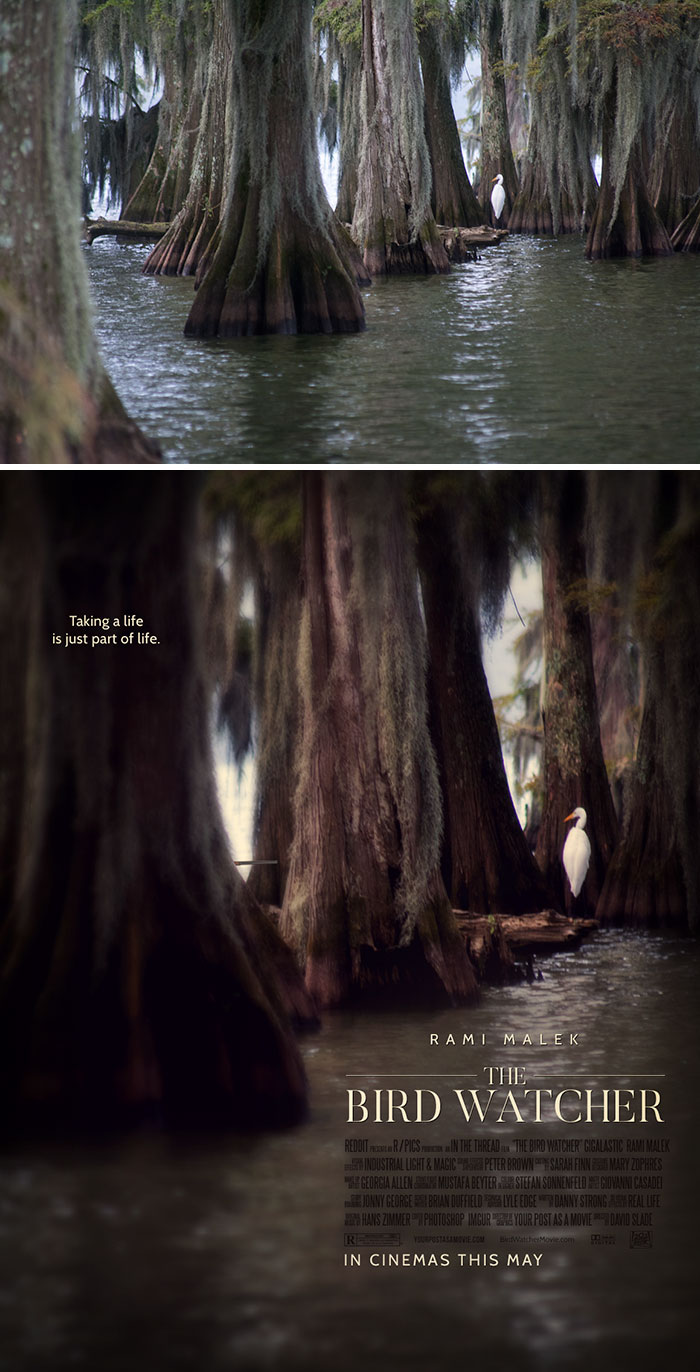 Your Post As A Movie