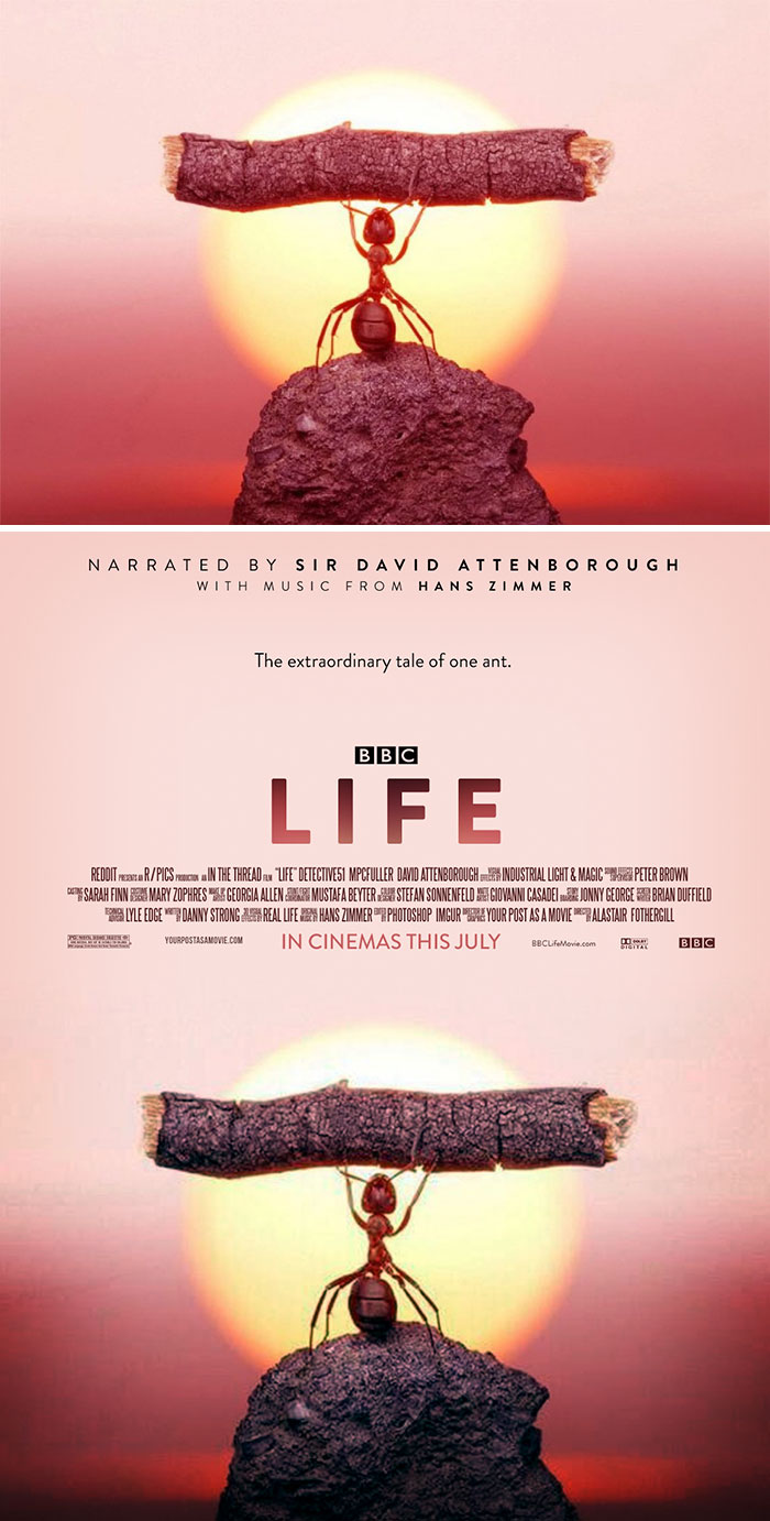 Your Post As A Movie