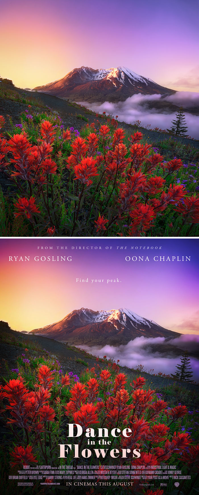 Your Post As A Movie