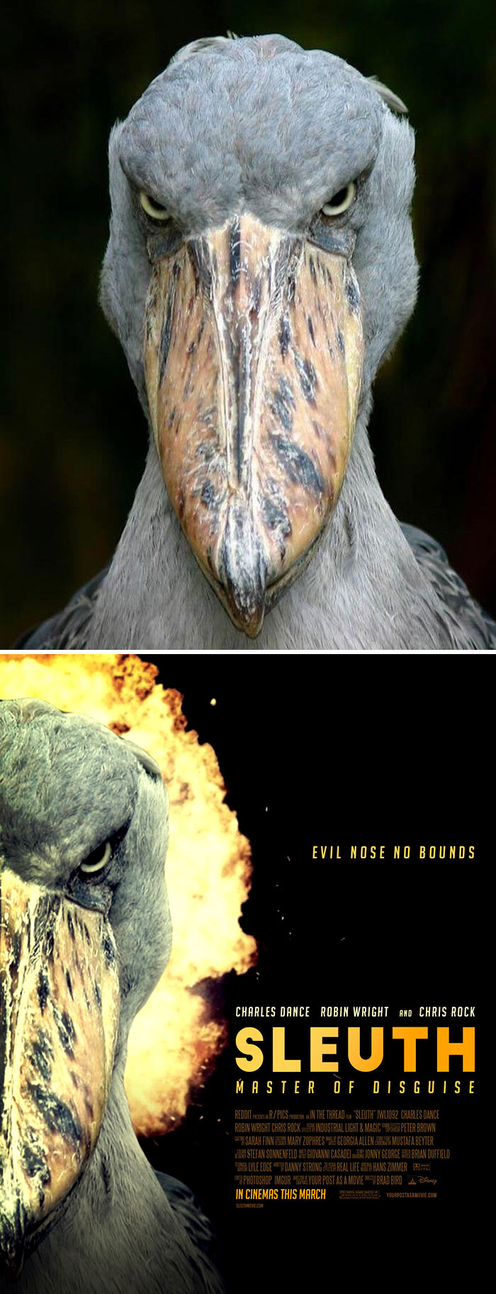 Your Post As A Movie