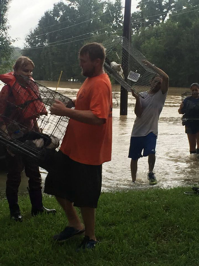rescue-animals-drowning-louisiana-floods-10