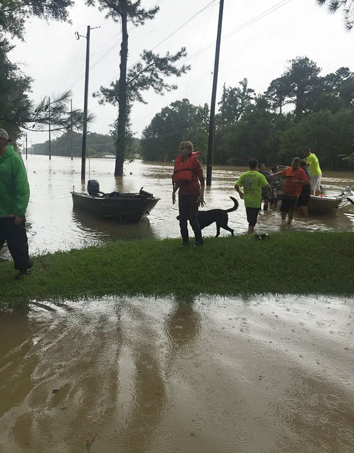 rescue-animals-drowning-louisiana-floods-14